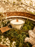 Woodland Glass Teacup Candle